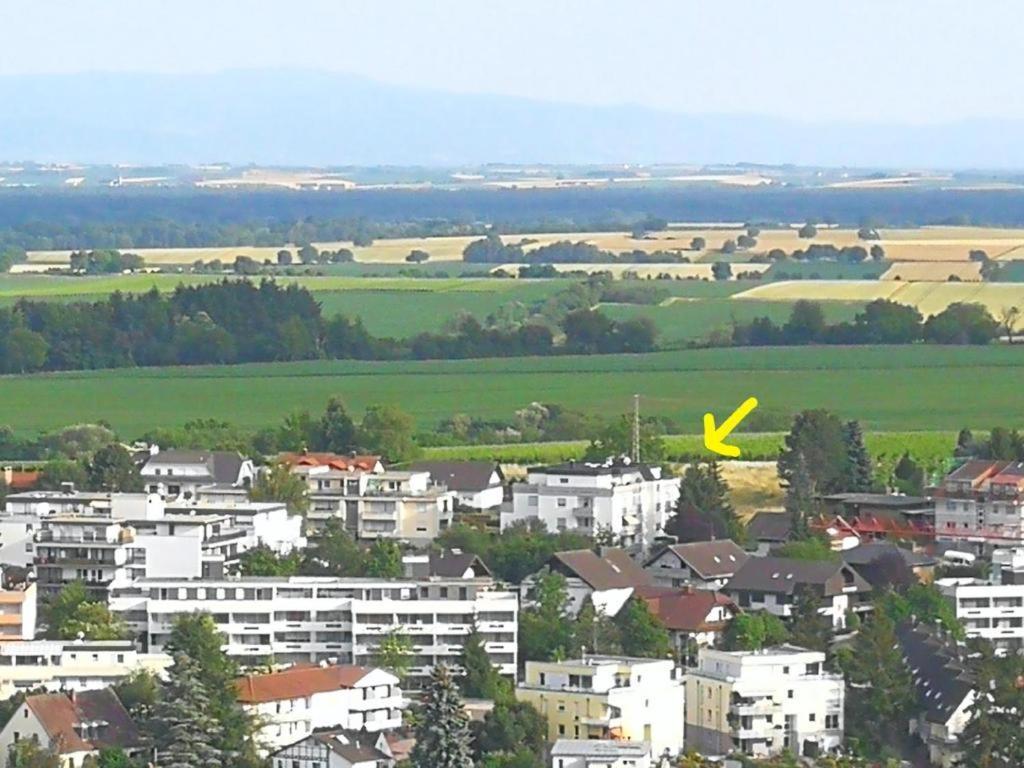 Ferienwohnung Toskana Mit Schwimmbad Und Sauna Bad Bergzabern Kültér fotó